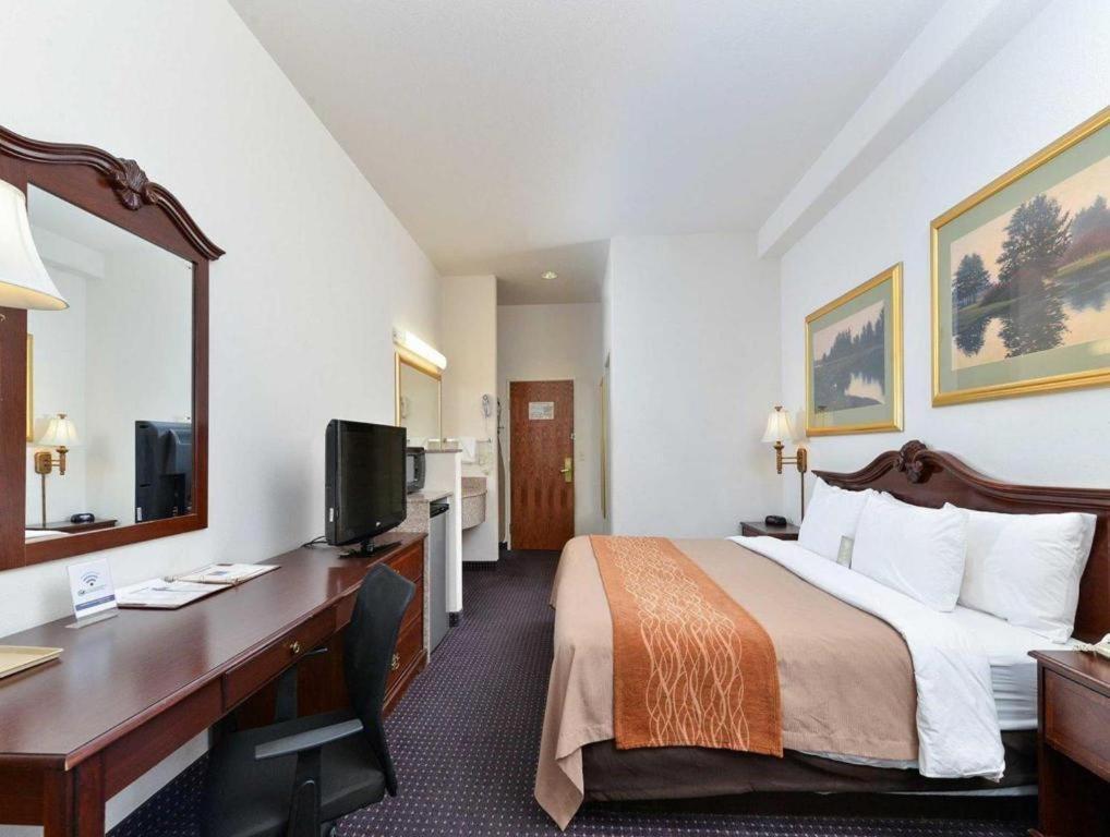 Comfort & Hotel