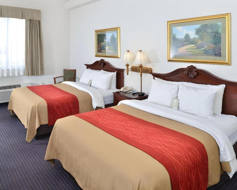 Comfort & Hotel 2*