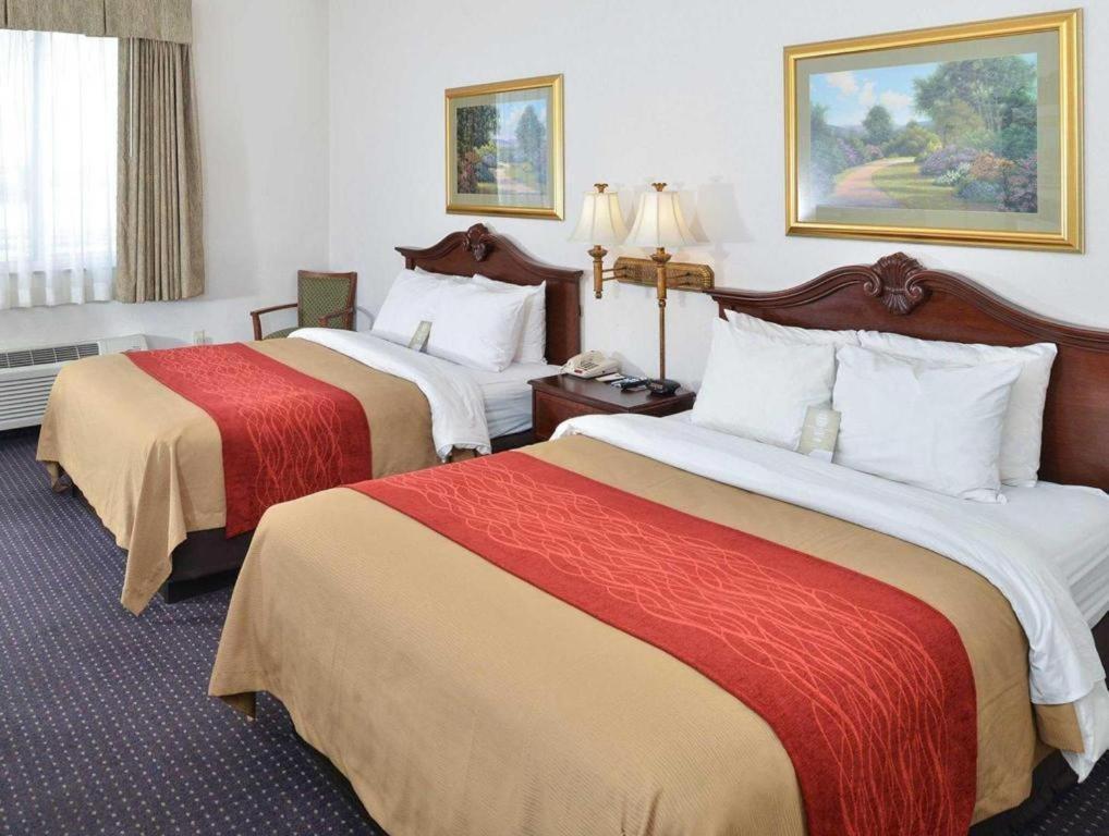 Comfort & 2* Riverton