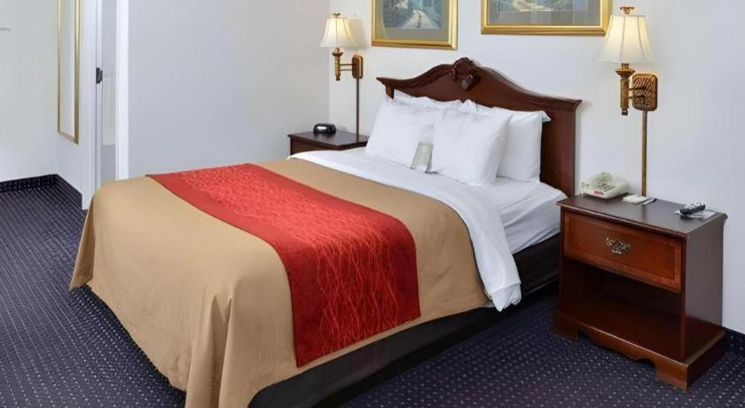 Hotel Comfort & 2*