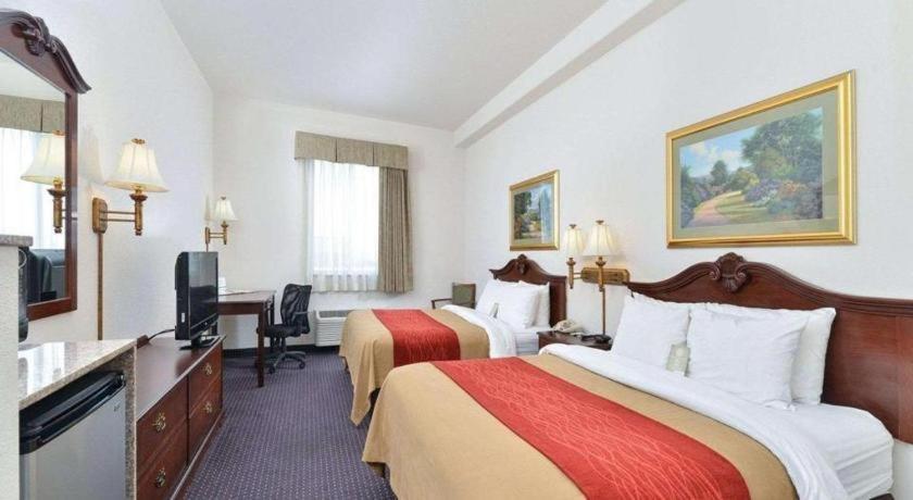 Comfort & Hotel
